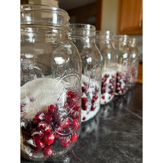 Back to the Basics: Everyday Recipes Made Simple